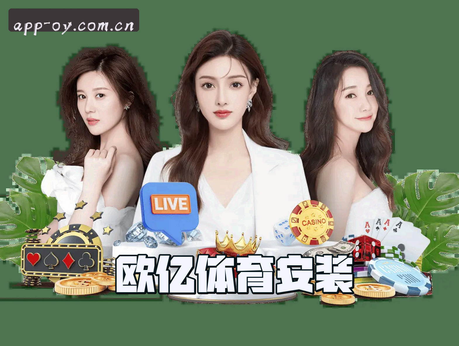 关于我们