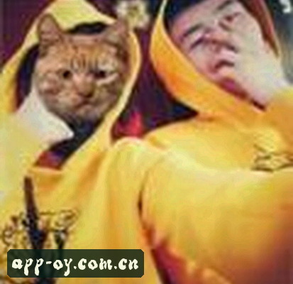 周磊